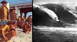 Livre De Surf: Harbour Chronicles - A Life In Surfboard Culture -Board Sport Soldes 12859