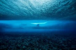 Proximity - Todd Glaser 16 Proximity - Todd Glaser -Board Sport Soldes 12924