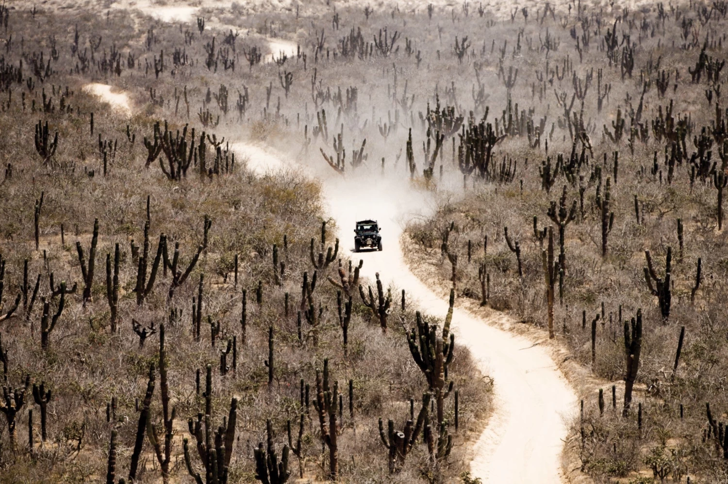 Proximity - Todd Glaser 7 Proximity - Todd Glaser – Image 5