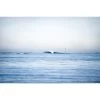 Affif Photographie - Outer Reef -Board Sport Soldes 14511