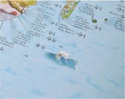 Awesome Maps - Poster Carte Du Monde - Surf Trip Re-writable 10 Awesome Maps - Poster Carte Du Monde - Surf Trip Re-writable -Board Sport Soldes 1818