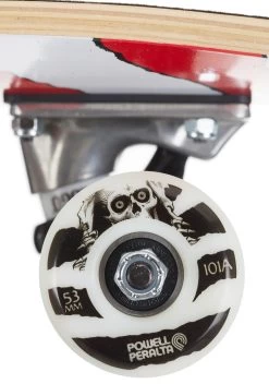 Powell Peralta - Ripper Complete 8.0 X 31.45 Inch - Red -Board Sport Soldes 20222