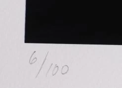 Lithographie WOLFGANG BLOCH Pacifico No. 13-17 -Board Sport Soldes 9484