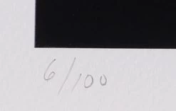 Lithographie WOLFGANG BLOCH Pacifico No. 5-16 -Board Sport Soldes 9485