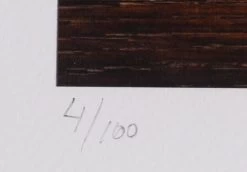 Lithographie WOLFGANG BLOCH No. 1068-16 -Board Sport Soldes 9489