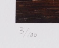 Lithographie WOLFGANG BLOCH No. 1068-16 -Board Sport Soldes 9491