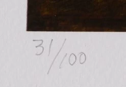 Lithographie WOLFGANG BLOCH No. 957-12 -Board Sport Soldes 9495