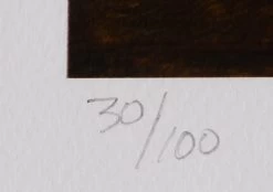 Lithographie WOLFGANG BLOCH No. 957-12 -Board Sport Soldes 9496