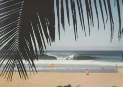 JEFF DIVINE - Livre Surf - 70s Surf Photographs -Board Sport Soldes 9533