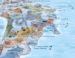 Awesome Maps - Poster Carte Du Monde - Dive Map Re-writable -Board Sport Soldes 9698