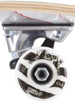 Powell Peralta - Ripper Complete 8.0 X 31.45 Inch - Silver -Board Sport Soldes POWELLPERALTACOMPLETE8.0X31.45RIPPERONEOFFSILVER 14